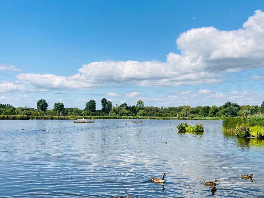 Fishers Green Nature Reserve景点图片