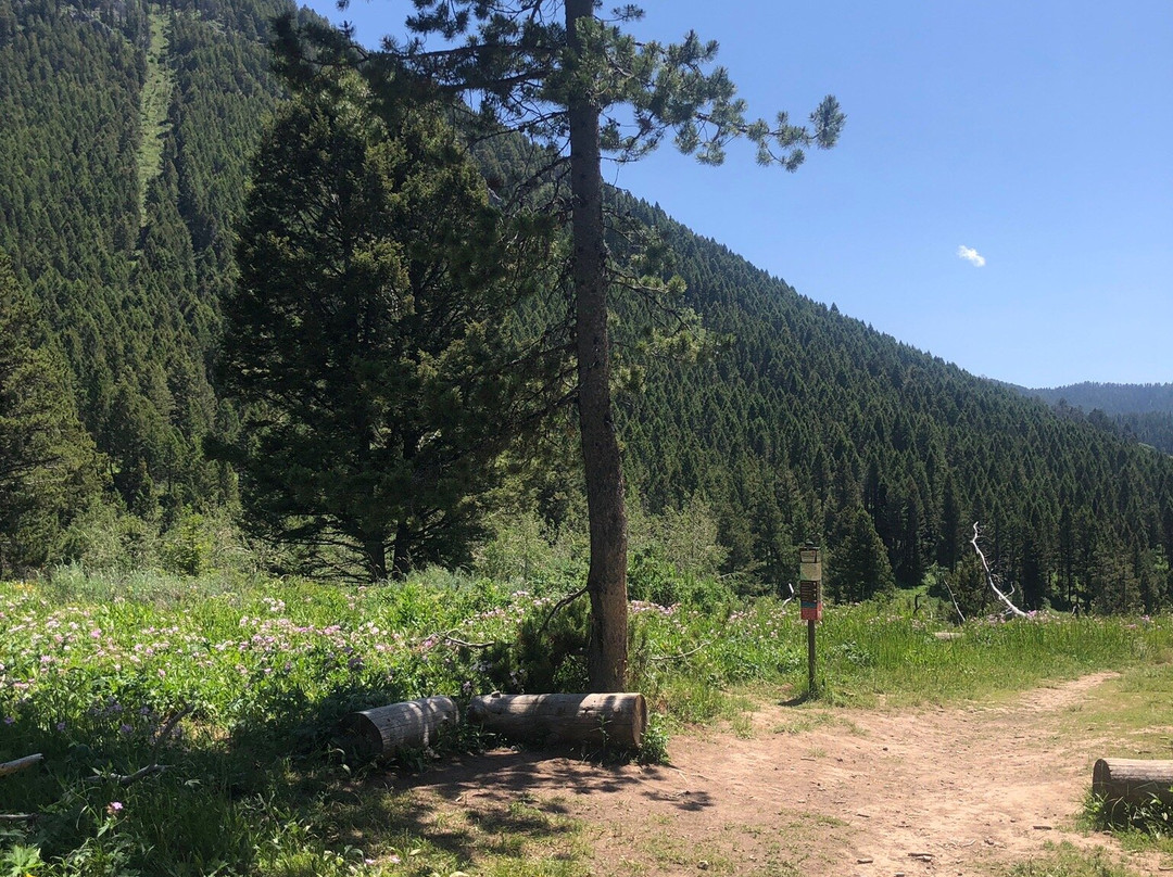 Game Creek Loop-杰克逊必去景点