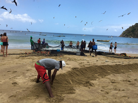 Tobago Adventure Tours-Castara必去景点