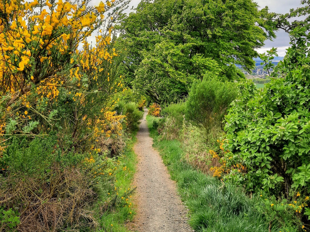 Kinnoull Hill-珀斯必去景点
