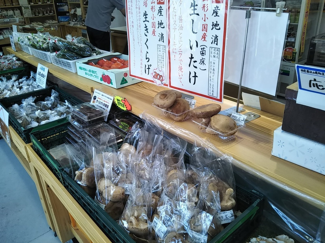 Michi-no-Eki Shiroimori Oguni景点图片