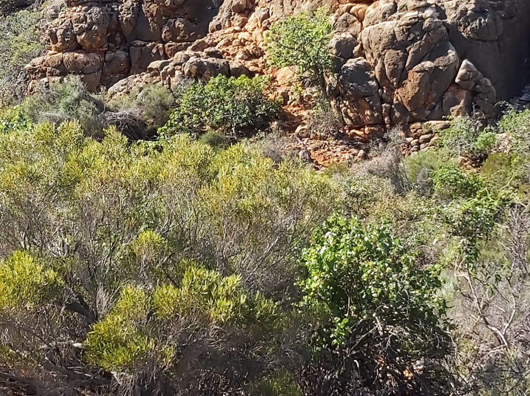 Mandu Mandu Gorge-埃克斯茅斯必去景点