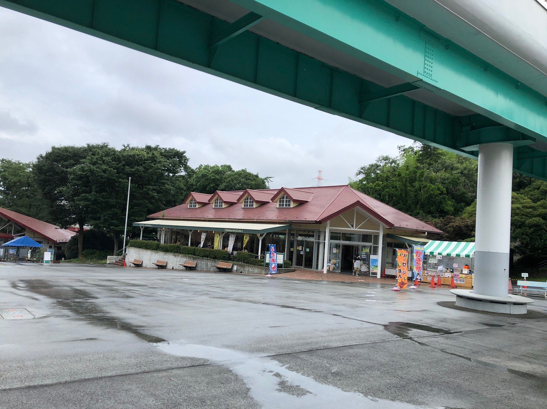 Kodomo-no-Kuni-横滨市必去景点