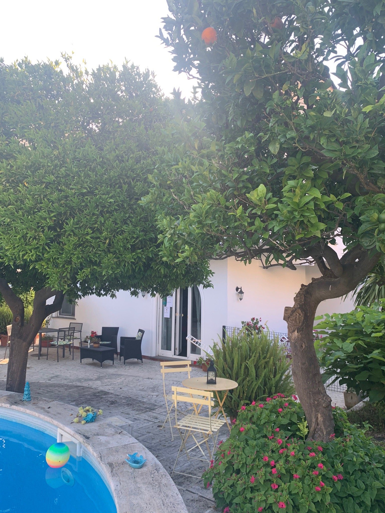 Villa Sorrento-官方