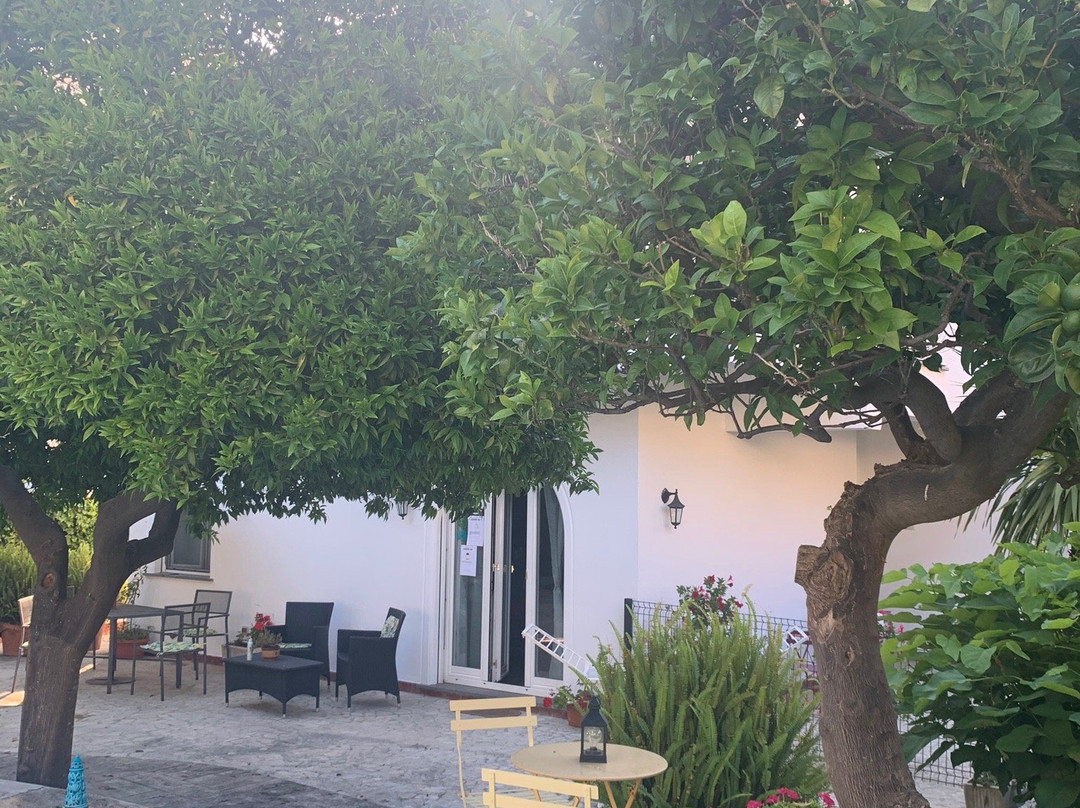 Villa Sorrento主图