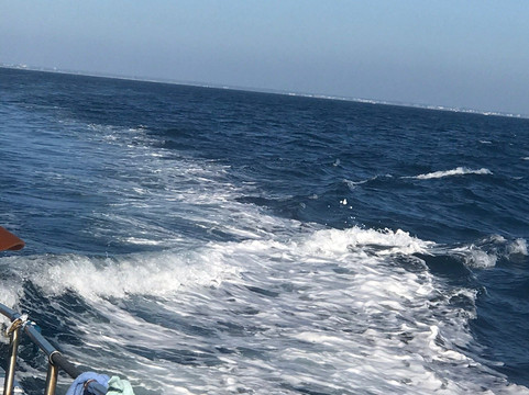 Sea Love Charters-Saint Augustine Beach必去景点