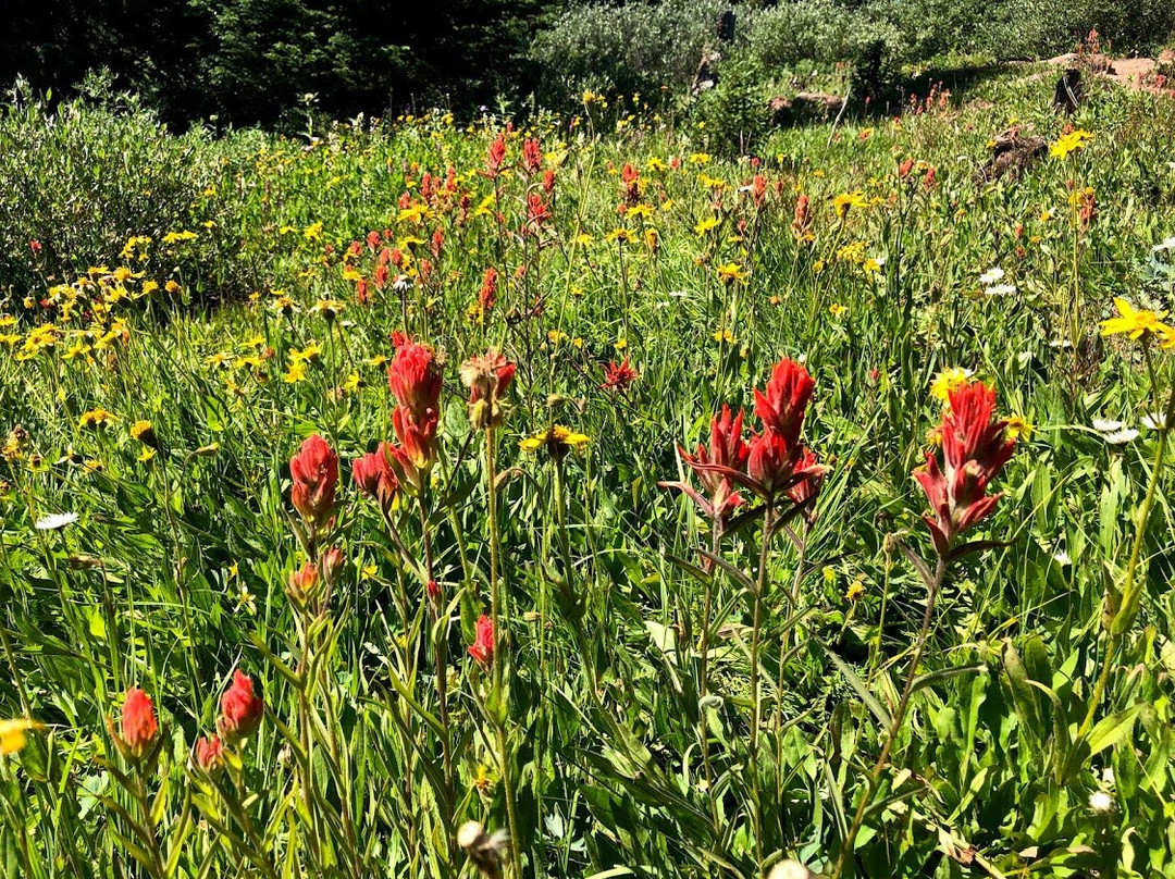 Shrine Pass Road-韦尔必去景点