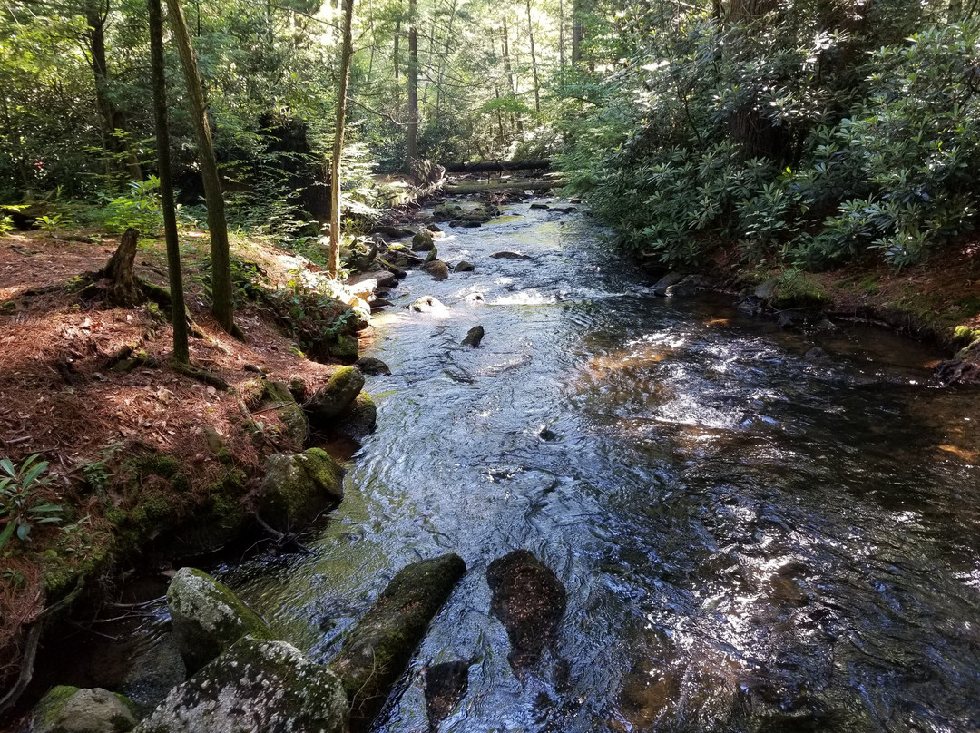 Jim Thorpe Camping Resort