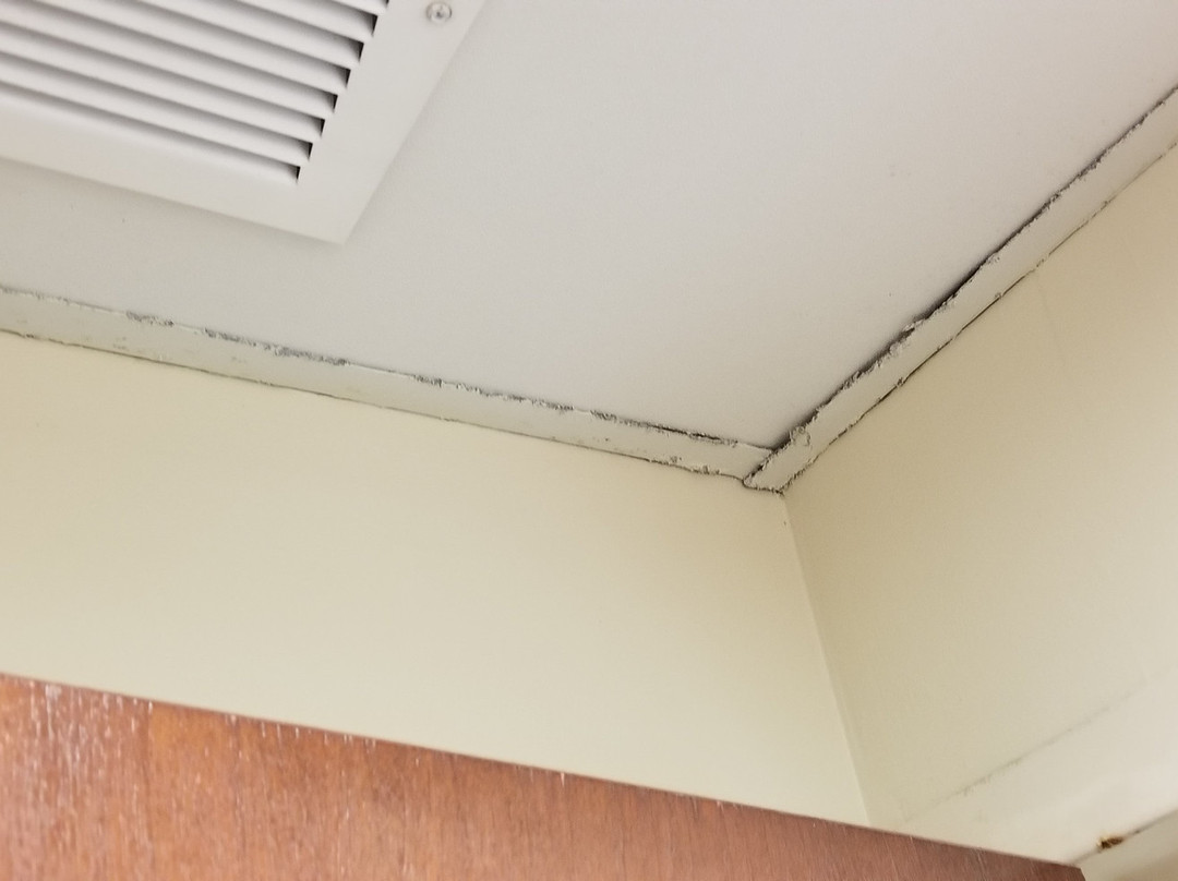 梅特戴斯酒店主图