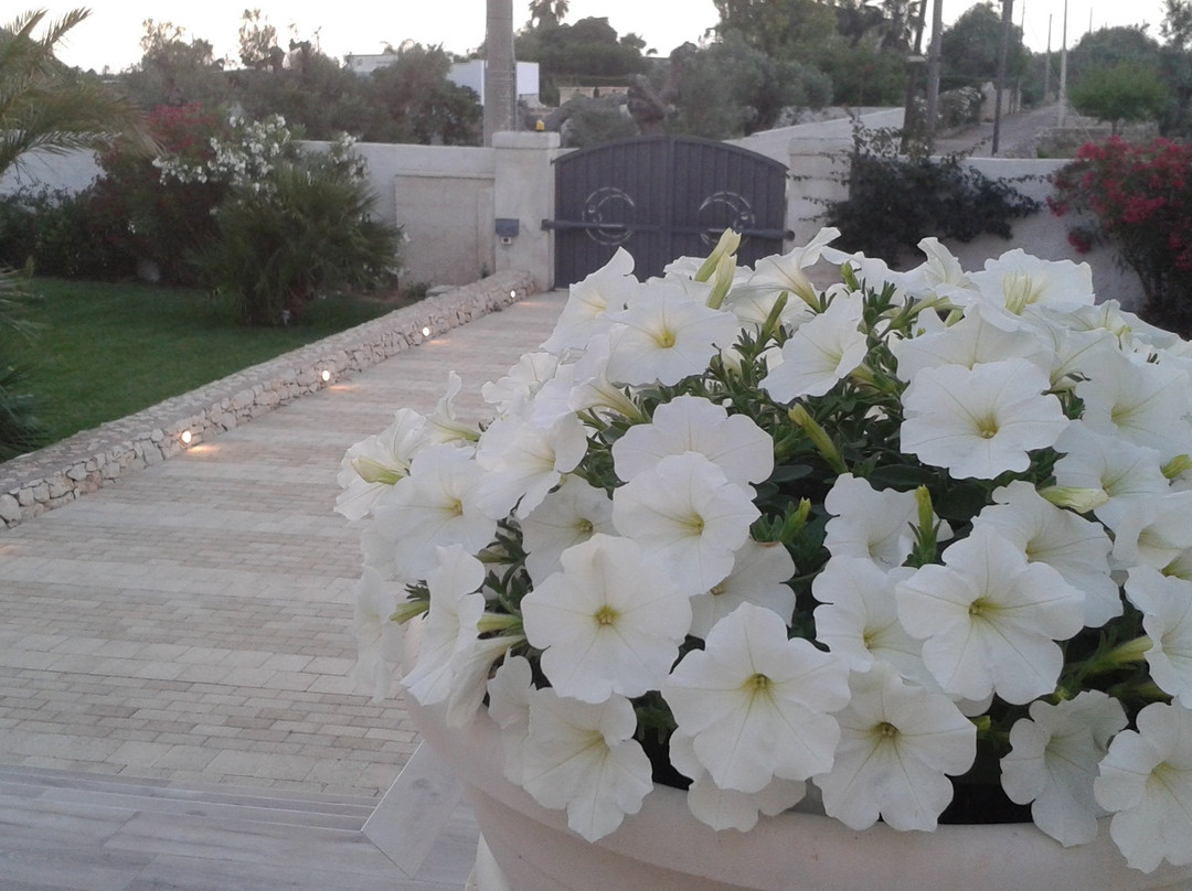 B&B Luna Rossa主图