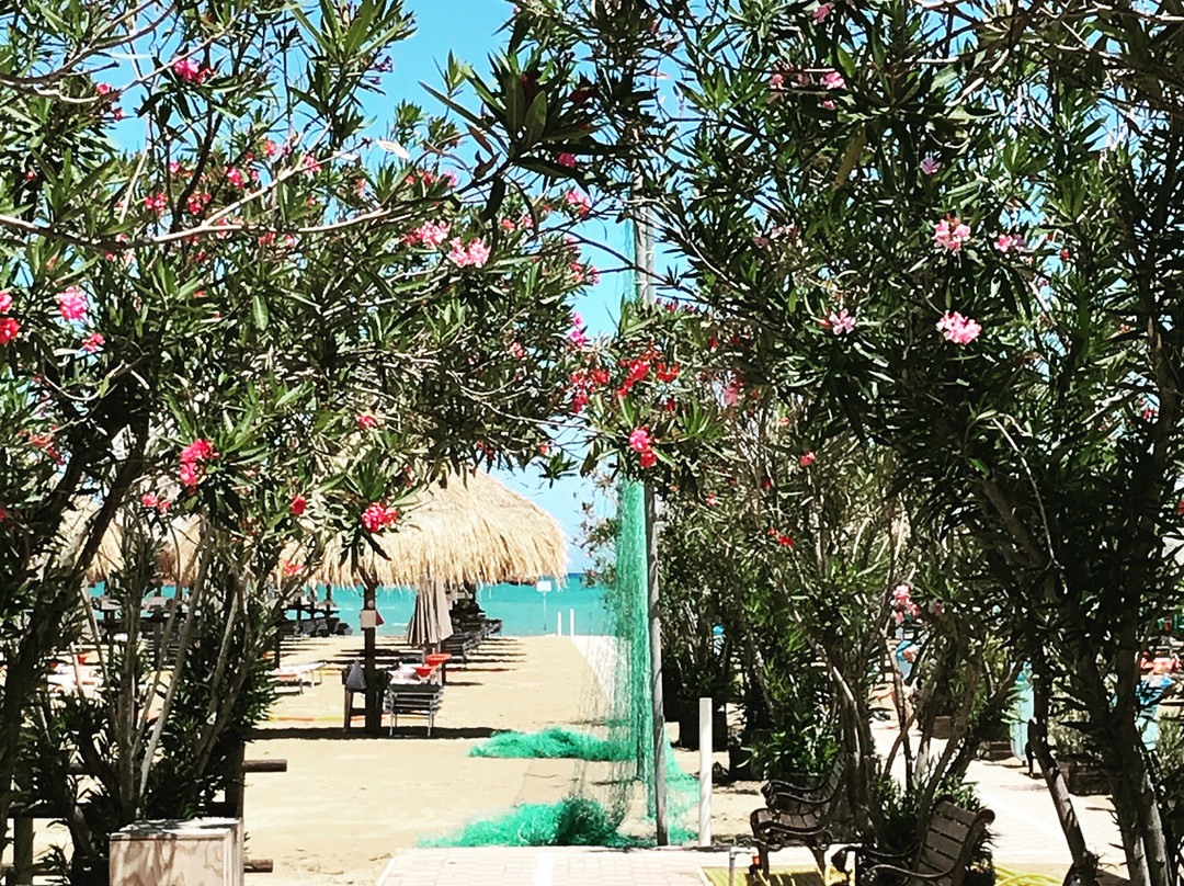 Stabilimento balneare Orsa Maggiore景点图片