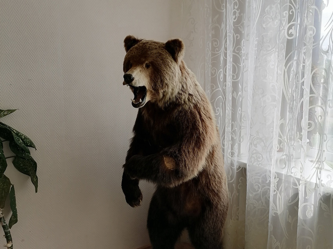 Zhemchuzhina Severa主图