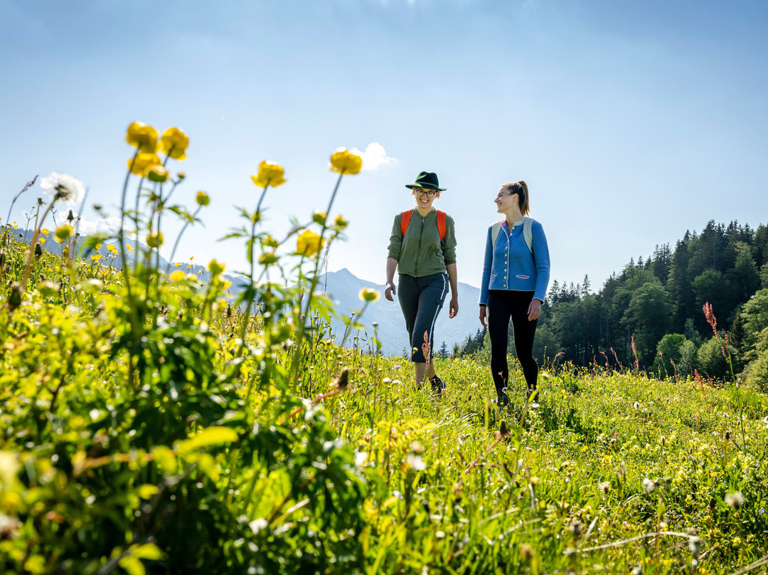 Berghotel Sudelfeld主图