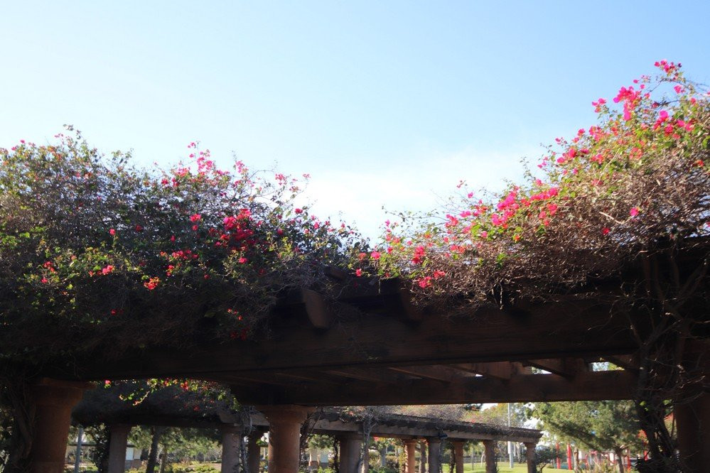 Bill Barber Memorial Park