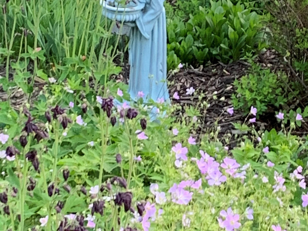 Franklin Street Inn Bed and Breakfast主图