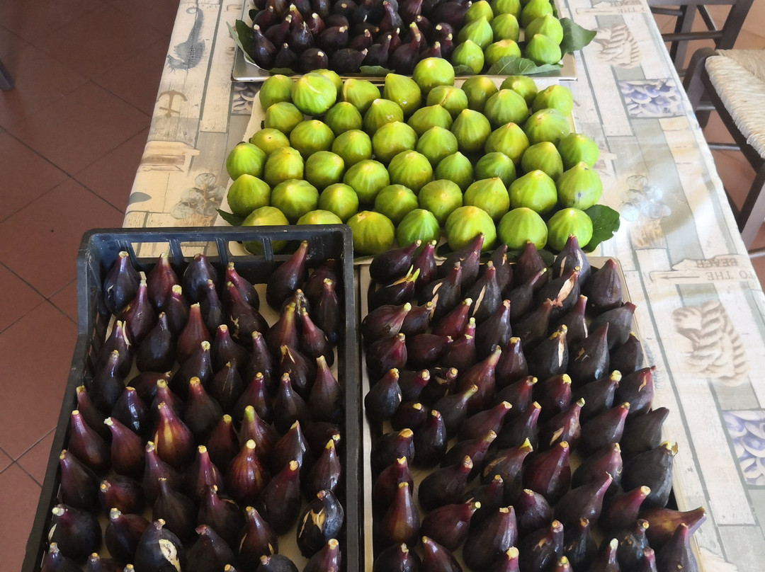 Porto Pino酒店住宿-Sogno Sulcitano