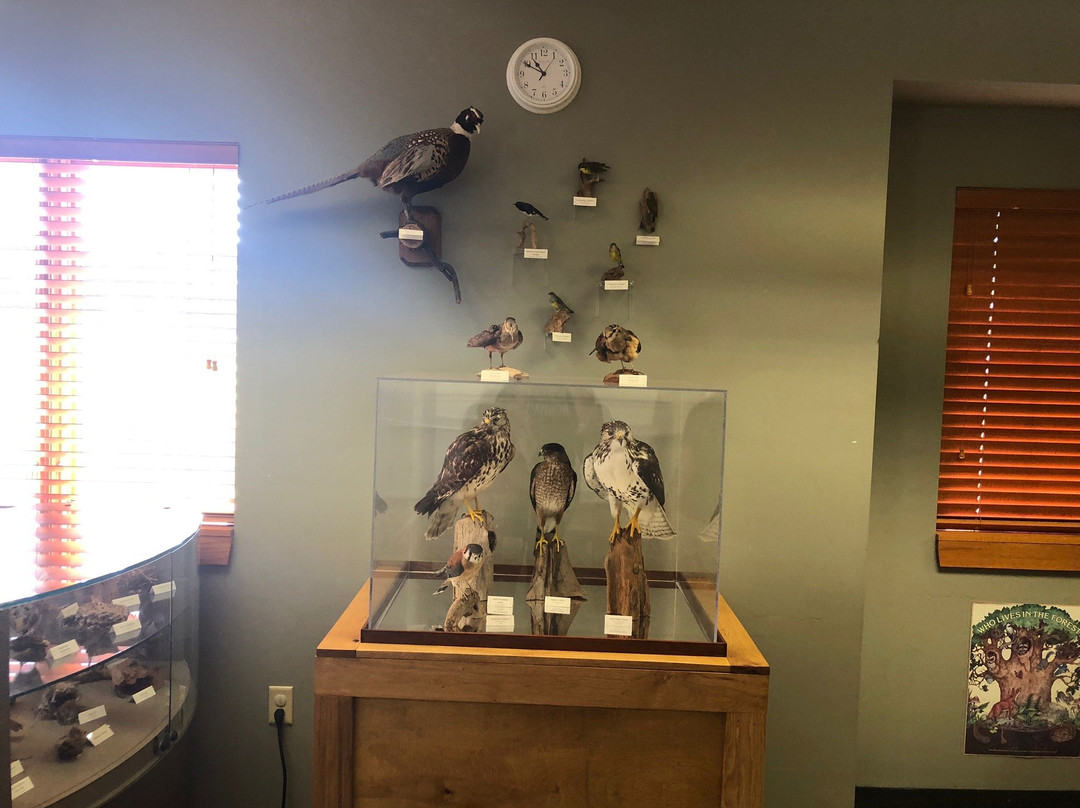 Strawtown Koteewi Park and The Taylor Center of Natural History-Noblesville必去景点