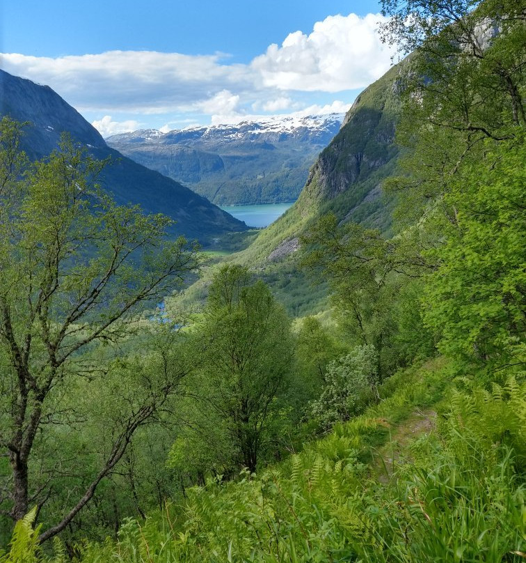 Folgefonna National Park景点图片