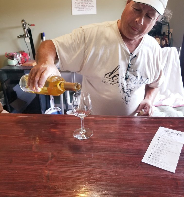 de terra Vinyard & Wines of Somerville-Somerville必去景点