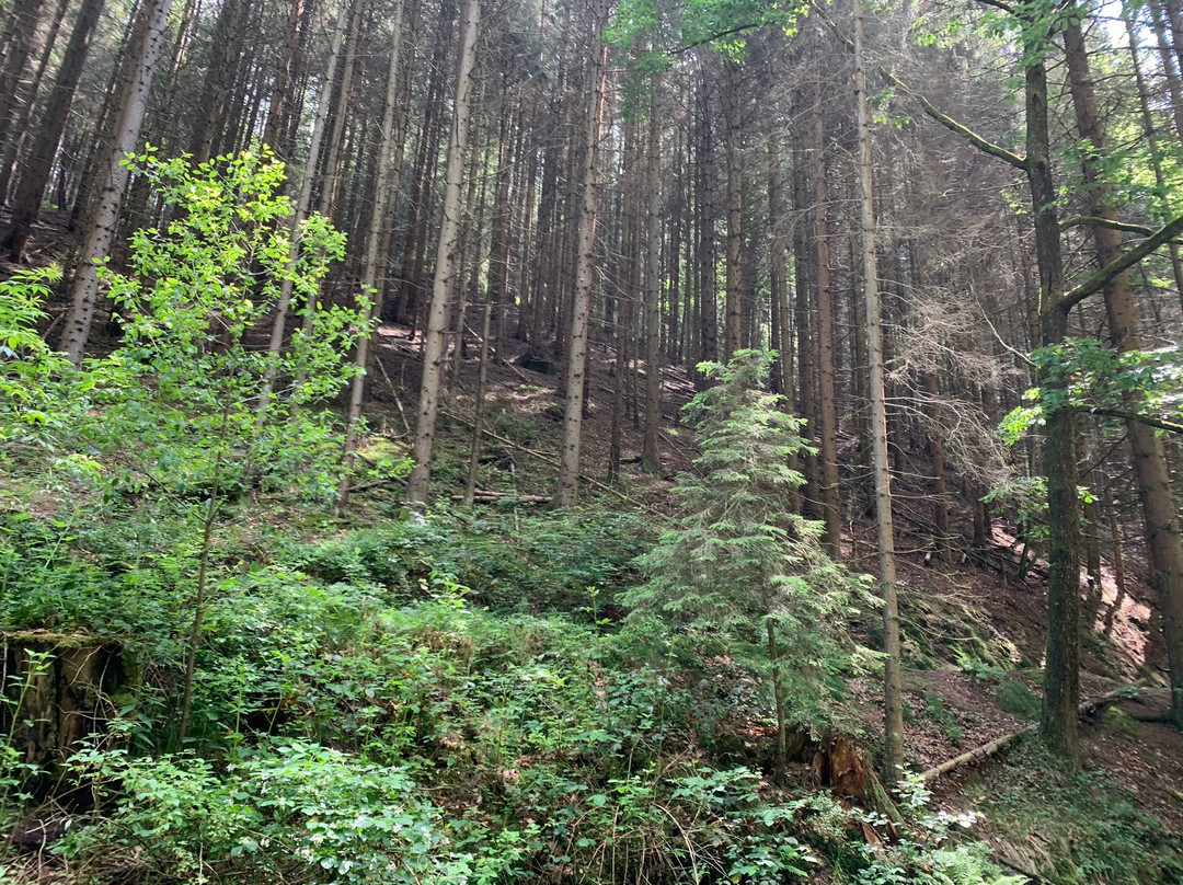 Amselsee-Rathen必去景点
