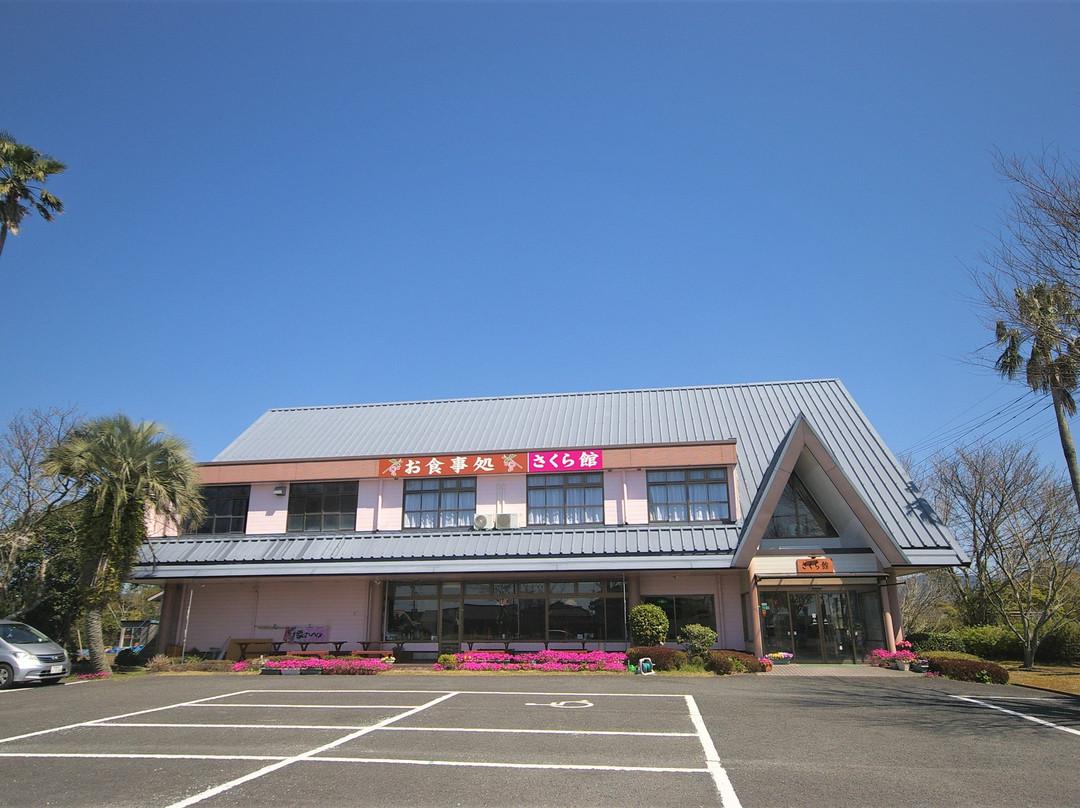 Sakurakan主图
