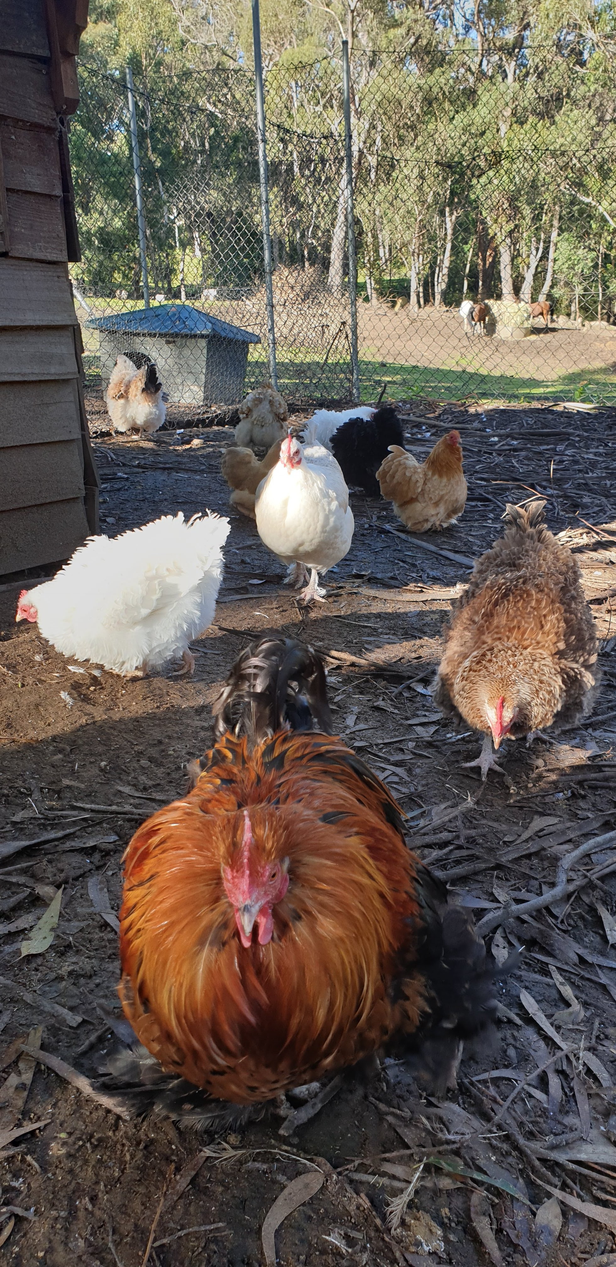 Morvern Valley Guesthouses-浴室