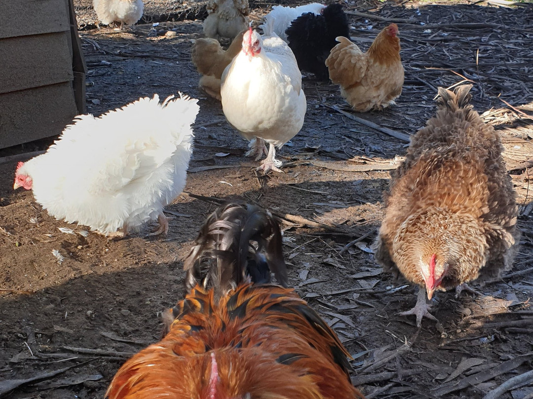 Morvern Valley Guesthouses主图