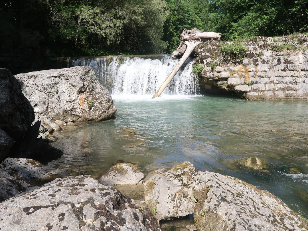 Les Gorges de la Jogne景点图片