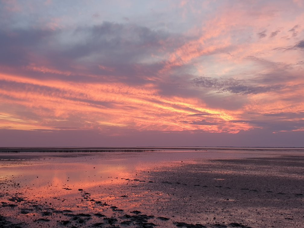 Wattwanderzentrum Ostfriesland-Harlesiel必去景点