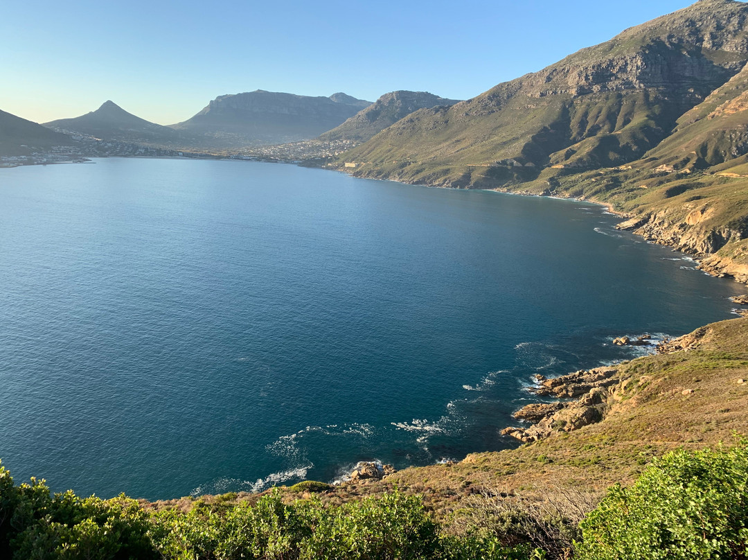 African Eagle Day Tours-开普敦中心区必去景点