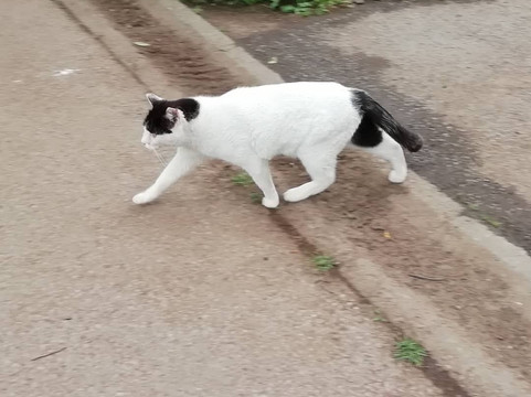 Sodegaura Park-袖浦市必去景点