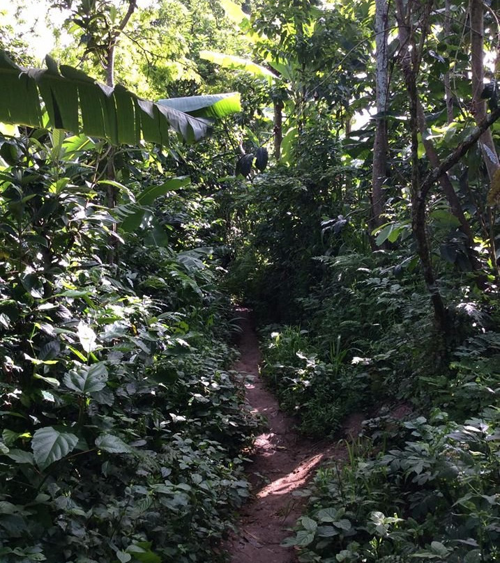 Materuni Waterfalls-Namro必去景点