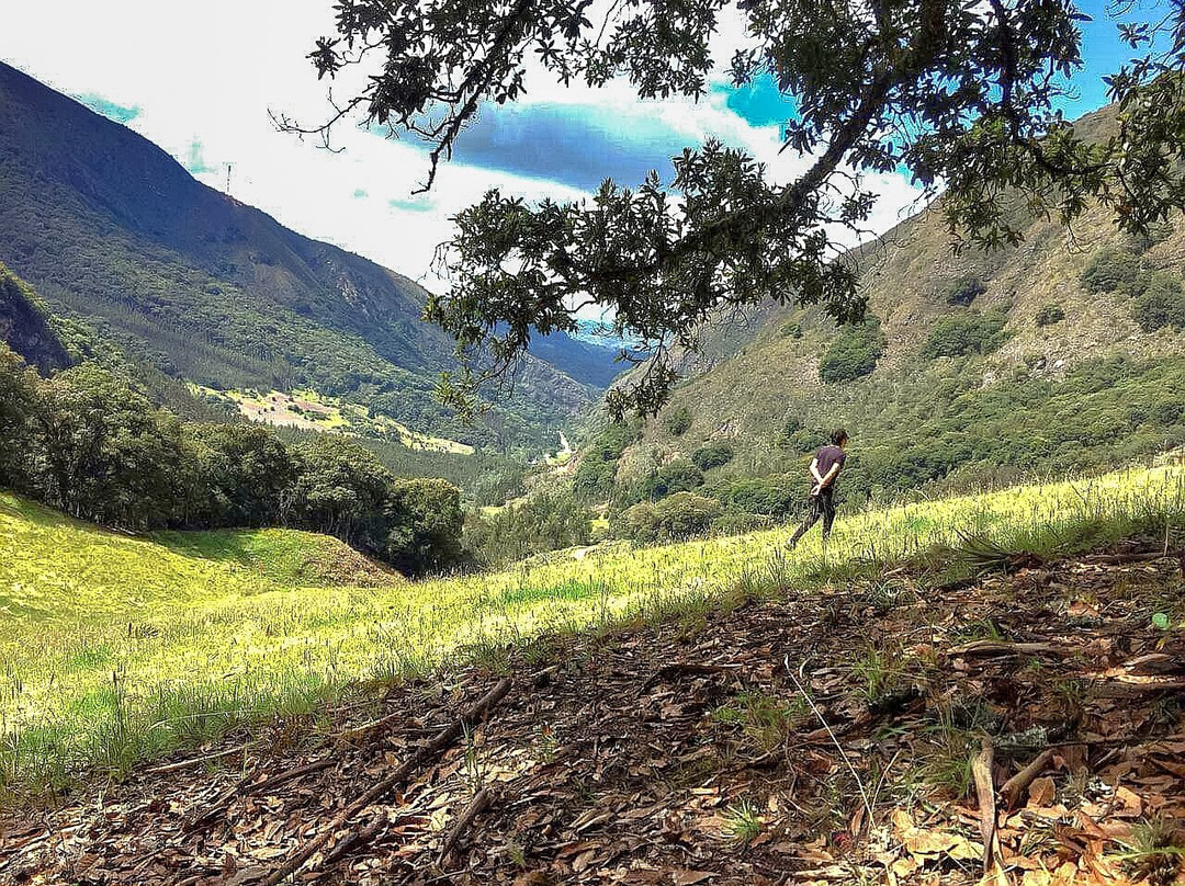 Tybyn Geo Lodge主图