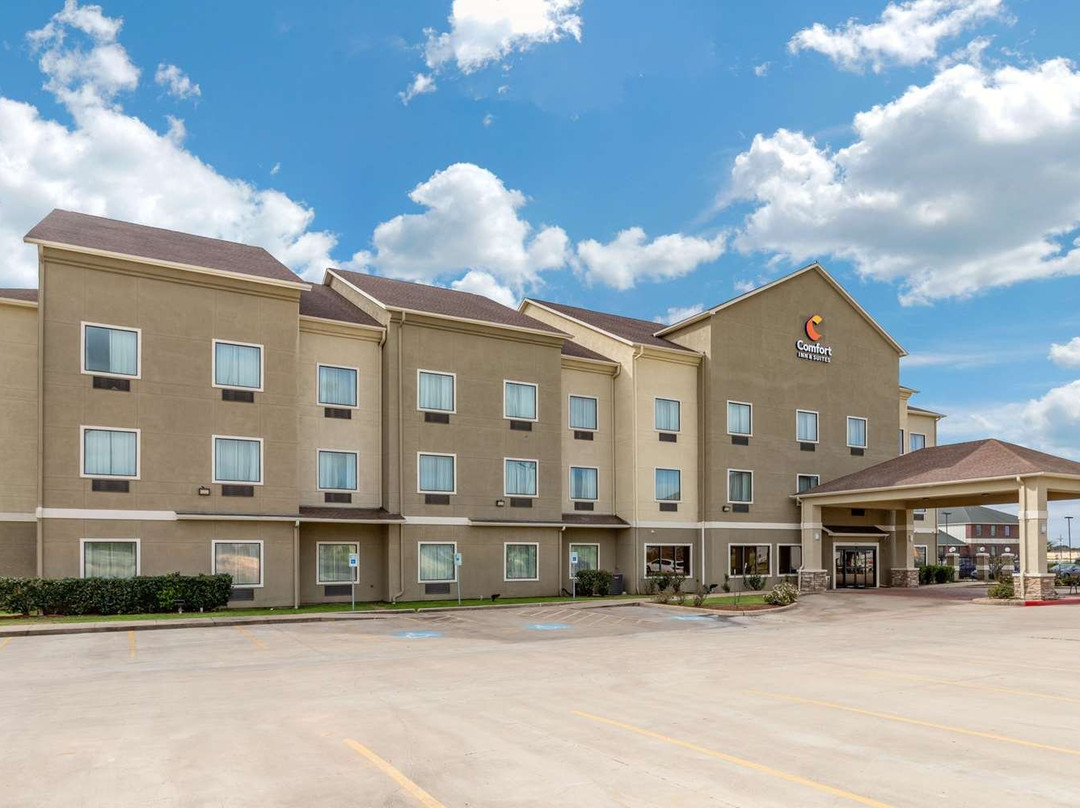 Comfort Inn & Suites Navasota主图