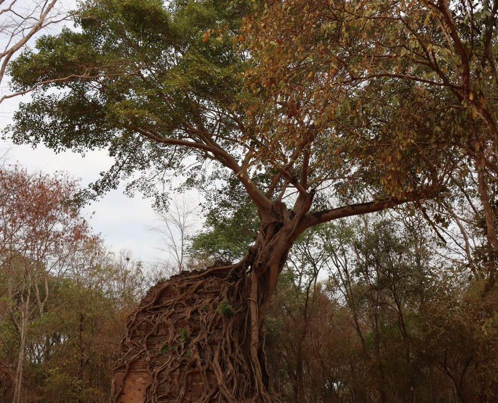 Daem Chrei Temple-磅同必去景点
