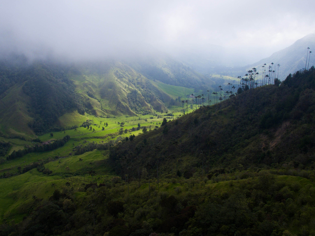 Gran Colombia Tours (Salento)景点图片