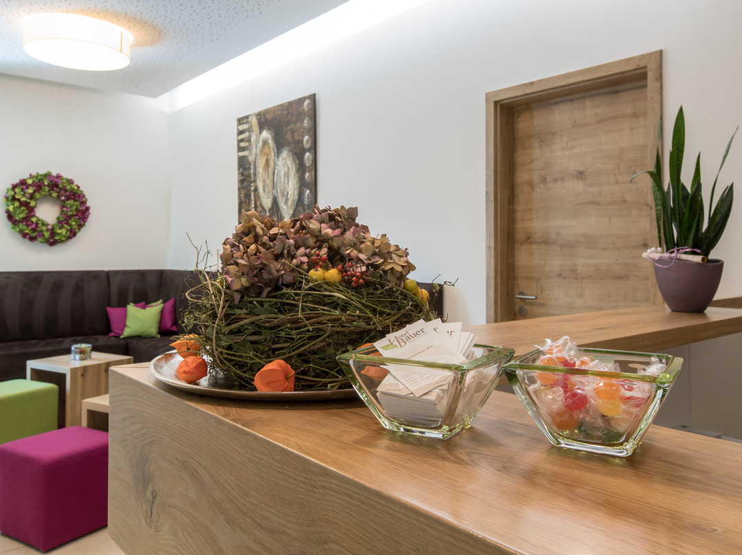 Hotel Bauer garni主图