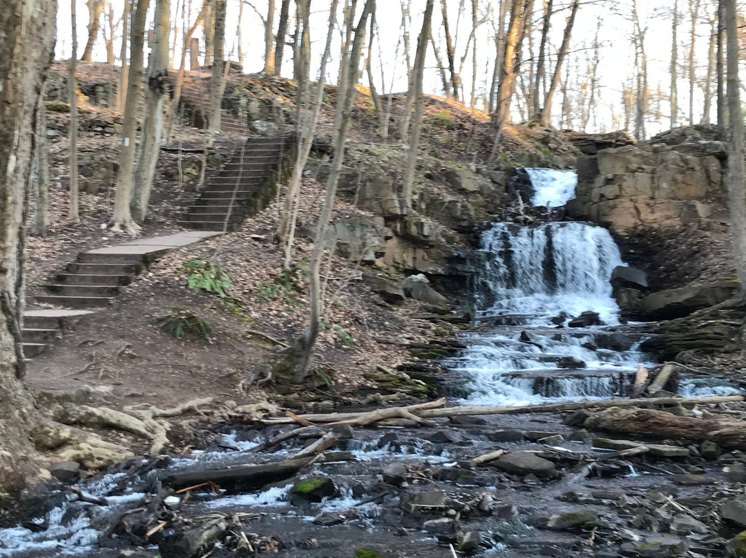 Dividend Pond-罗基希尔必去景点