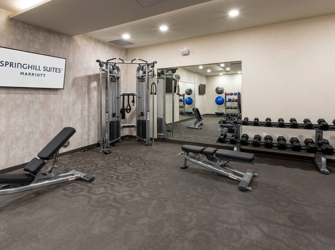 SpringHill Suites Minneapolis Maple Grove/Arbor Lakes主图
