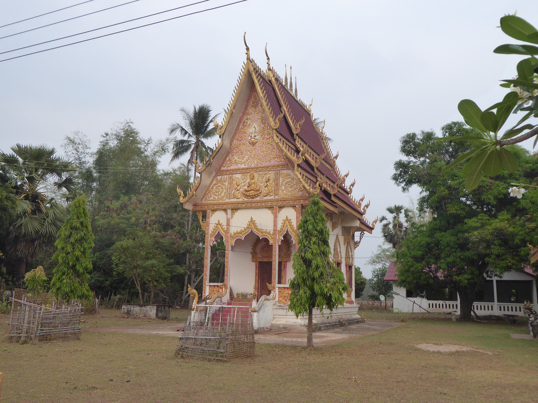 Don Daeng Island-占巴塞省必去景点