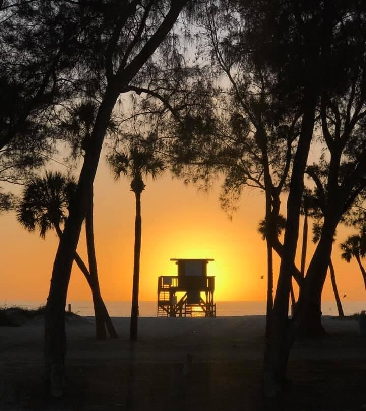 Beach Market-Bradenton Beach必去景点