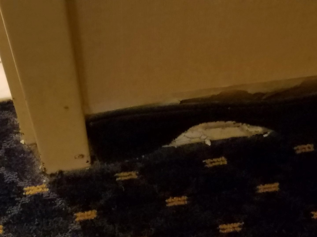 Wingate by Wyndham Waynesboro/Route 340主图