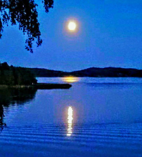 Vepsa Island-土尔库必去景点