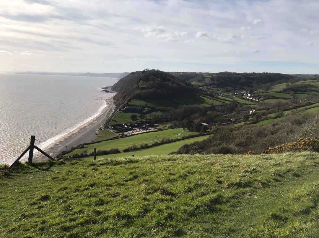 The Masons Arms主图