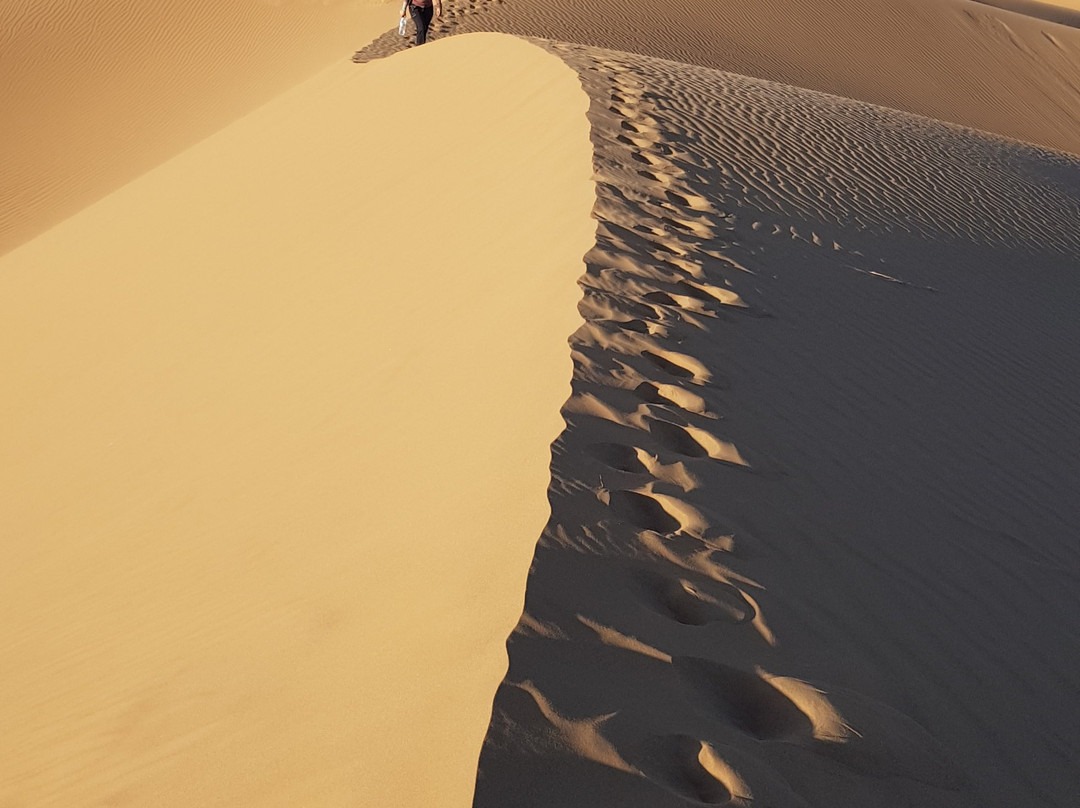 Saharastern景点图片