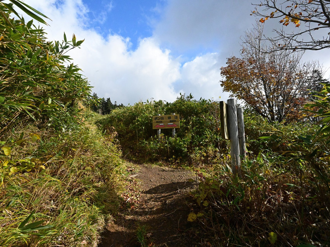 Mt. Pon-利尻富士町必去景点