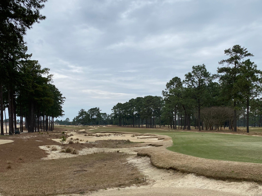 Pinehurst Course Number 4景点图片