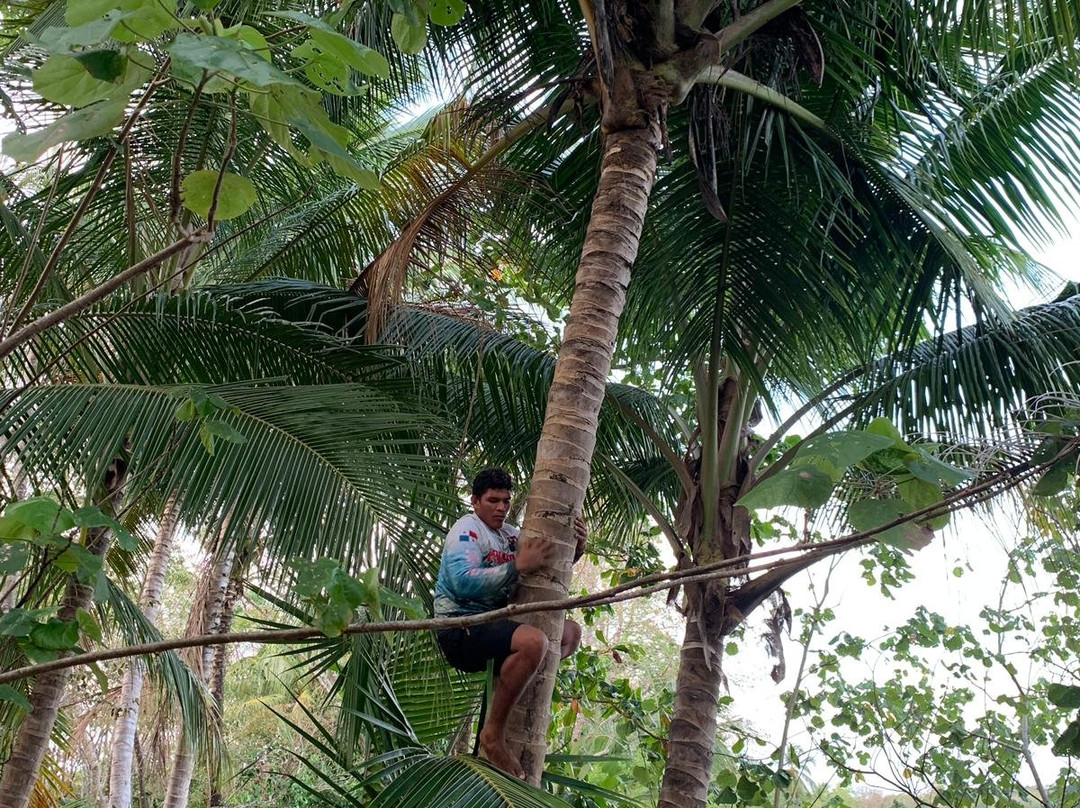 Cebaco Sunrise Lodge主图