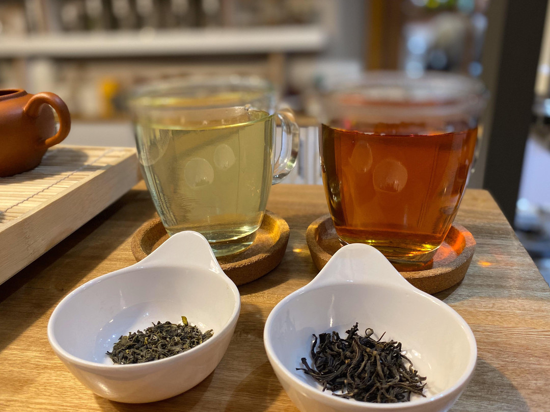 Coolture Coo-波哥大必去景点