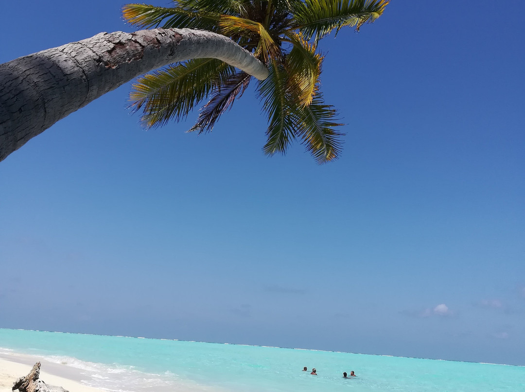 White Maakanaa Lodge主图